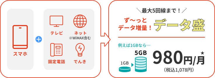 ず〜っとデータ増量!データ盛|5GB:980円(税込1,078円)/月