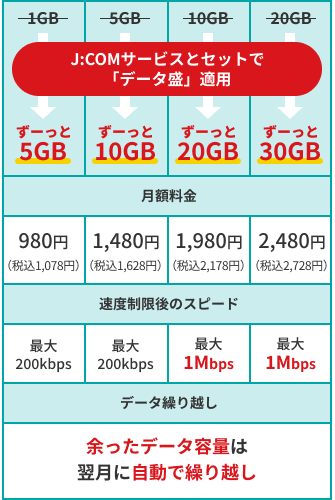 データ容量ごとの料金詳細